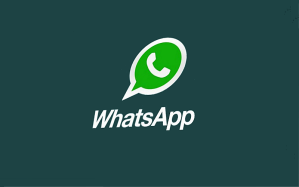 WhatsApp-logo-icon